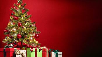 50 Beautiful Christmas tree HD wallpaper