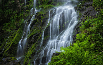 Nature, Rocks, Waterfall, Fern, Moss, Handsomely, It's Beautiful HD wallpaper