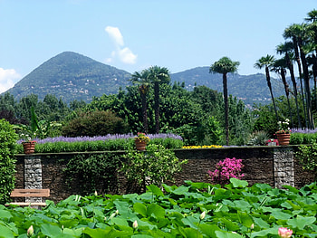 Nature, Flowers, Mountains, Wall, Garden, View, Pots HD wallpaper