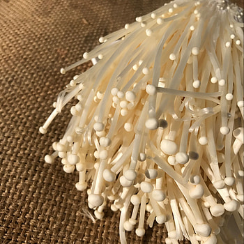 Fresh enoki mushrooms, Mushroom cultivation, Product purchase, Gourmet ingredient HD wallpaper