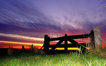 Nexus , Nature forests, Breathtaking landscapes, Tranquil beauty HD wallpaper