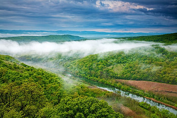 Ropotamo, river, graphy, green, bulgaria, clouds, sky HD wallpaper