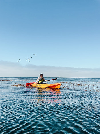 Sailing, Kayaking, Whale watching, Monterey HD phone wallpaper
