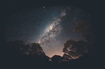 Stunning view of the Milky Way galaxy over silhouetted trees in a tranquil night setting. HD wallpaper