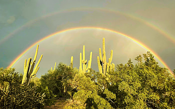 Marana, Arizona, Double Rainbow, sky, plants, cactuses, desert, clouds, usa HD wallpaper