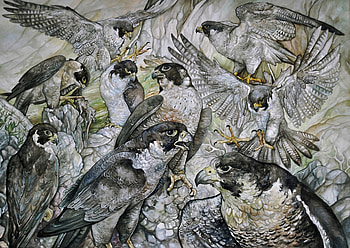 Falconry, pasari, bird, falcon, carol wellart, art, fantasy HD wallpaper