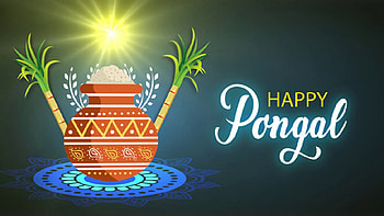 Happy Pongal Sunlight Clay Pot Sugarcane Pongal HD wallpaper