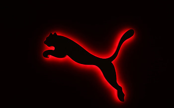 Puma HD wallpaper