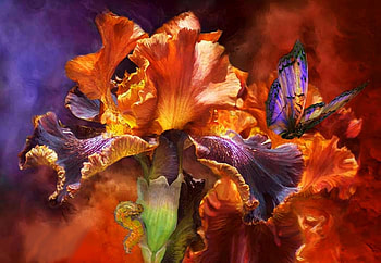 Iris and butterfly, purple, summer, iris, butterfly, art, flower, orange, vara HD wallpaper