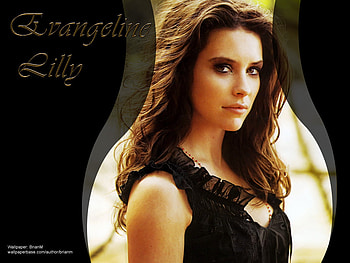 Lost's Evangeline Lilly, movies, tv series, celeb, lost HD wallpaper