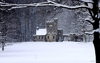 winter, forest, snow, house HD wallpaper