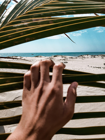 Leaves, Sea, Beach, Sand, Hand, Miscellanea, Miscellaneous HD phone wallpaper