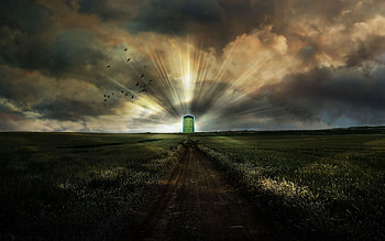 Nature, Birds, Sky, Road, Field, Portal, Doors To Paradise HD wallpaper