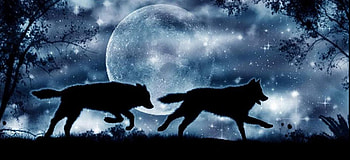 Playing, night, blue, wolves, fantasy, animals HD wallpaper