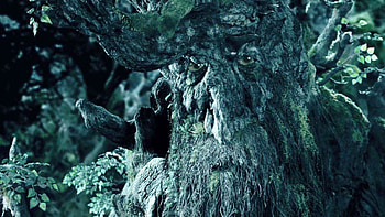 Treebeard character, Top , Nature backgrounds, Middle-earth beauty HD wallpaper