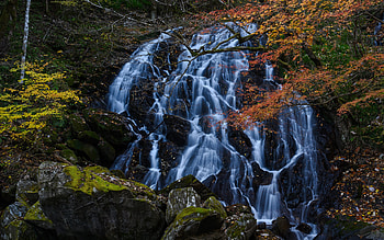 autumn, waterfall, rocks, beautiful waterfall, yellow leaves, mountain waterfall HD wallpaper