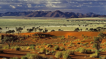 african savannah, bushes, desert, mountains, savannah HD wallpaper