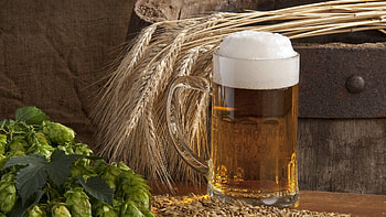 Beer, beer, celebrations HD wallpaper