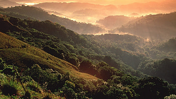 Puerto Rico, Rainforest , Mountains HD wallpaper