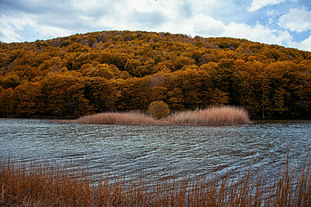 Nature, Rivers, Trees, Grass, Autumn HD wallpaper
