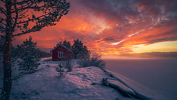 Frozen Lake at Ringerike, Norway, winter, scandinavia, snow, trees, landscape, colors, sky, rocks, cabin HD wallpaper