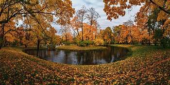 Autumn pond, Park, Autumn, Russia, Trees HD wallpaper