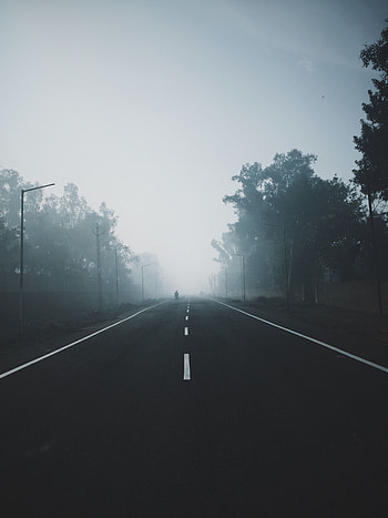 Nature, Trees, Horizon, Road, Markup, Fog HD phone wallpaper