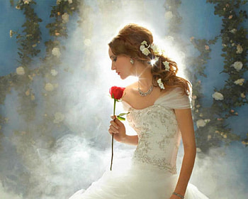 Beautiful Bride, rose, model, bride, woman HD wallpaper