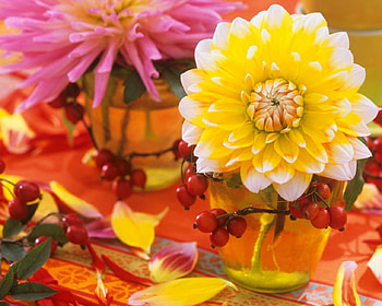 Beautiful Flowers, glass, flowers, bloom, petals HD wallpaper