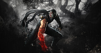Ninja warrior, Mortal Kombat, artwork HD wallpaper