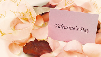 Petals, Valentine's Day HD wallpaper