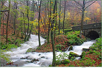 Meeting of Streams, meeting, streams, beautiful HD wallpaper