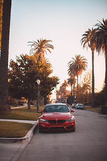 A red BMW parked on a street in Los Angeles with iconic palm trees during sunset. HD phone wallpaper