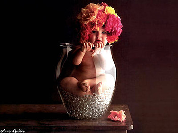 baby, anne geddes, pearls, vase, flower HD wallpaper