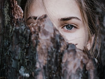 A mysterious close-up of a woman's blue eye peeking from behind tree bark in an outdoor natural setting. HD wallpaper
