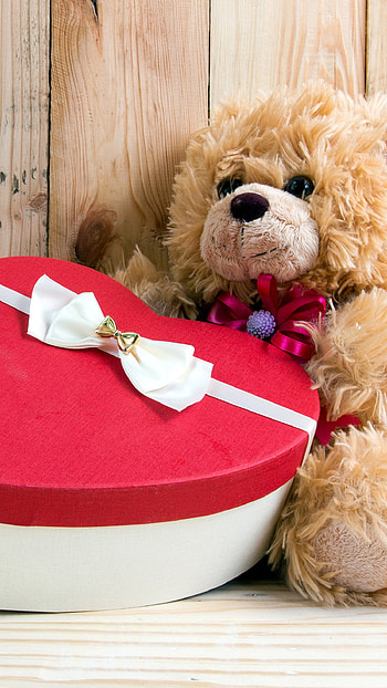 Teddy Bear Love, Love, Teddies HD phone wallpaper