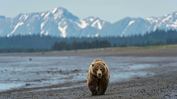Bear mountain, , , Mountain scenery HD wallpaper