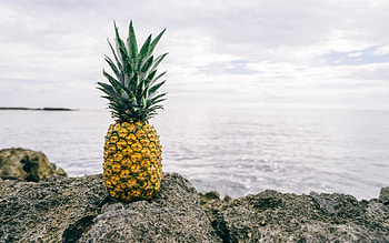 Pineapple, Vibrant, Refreshing HD wallpaper