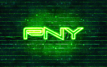 PNY green logo, , green brickwall, PNY logo, brands, PNY neon logo, PNY HD wallpaper