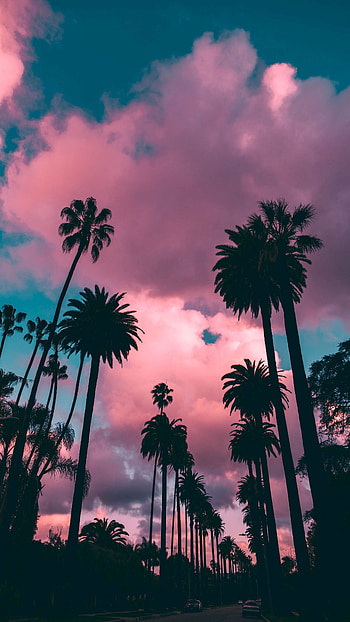 Sunset allure, Glittering skies, Mesmerizing beauty, Captivating HD phone wallpaper