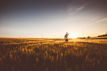 Girl Field Sunrise And Sunset Horizon , girls, model, field HD wallpaper