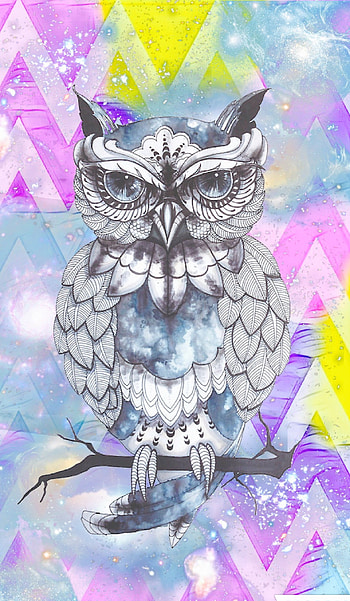 Cute owl girly by Rose HD phone wallpaper