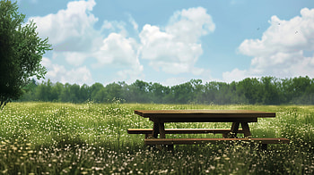Sunny Meadow Picnic Bench, picnic table HD wallpaper