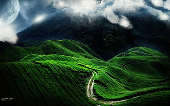 Nature, Fields, Road, Relief, Stripes, Streaks, Bends HD wallpaper