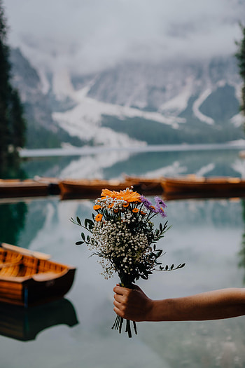 Flowers, Hand, Bouquet, Focus HD phone wallpaper