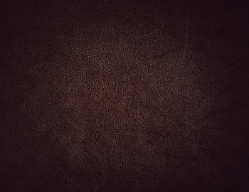 Texture, Textures, Surface, Leather, Skin HD wallpaper