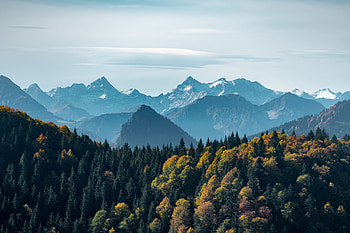 Landscape, Nature, Mountains, Vertex, Forest, Fog, Tops HD wallpaper