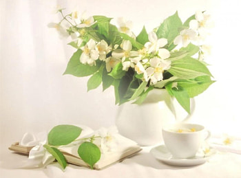 soft, Still life, flowers, beauty HD wallpaper