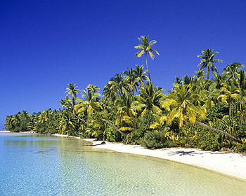 Coconut Grove Cook Islands, trees, sky, sand, water HD wallpaper