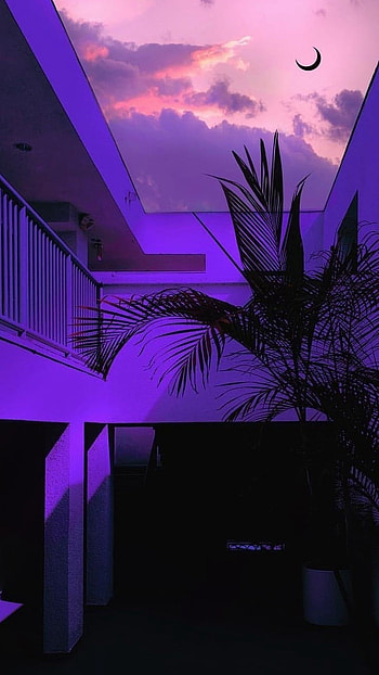 Purple Aesthetic, House HD phone wallpaper